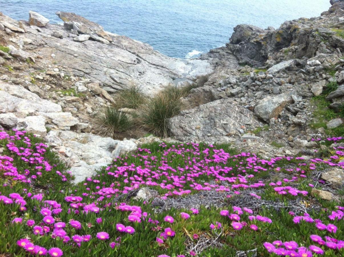 Isola D'Elba Come In Barca, A Un Tuffo Dal Mare Capoliveri  Buitenkant foto