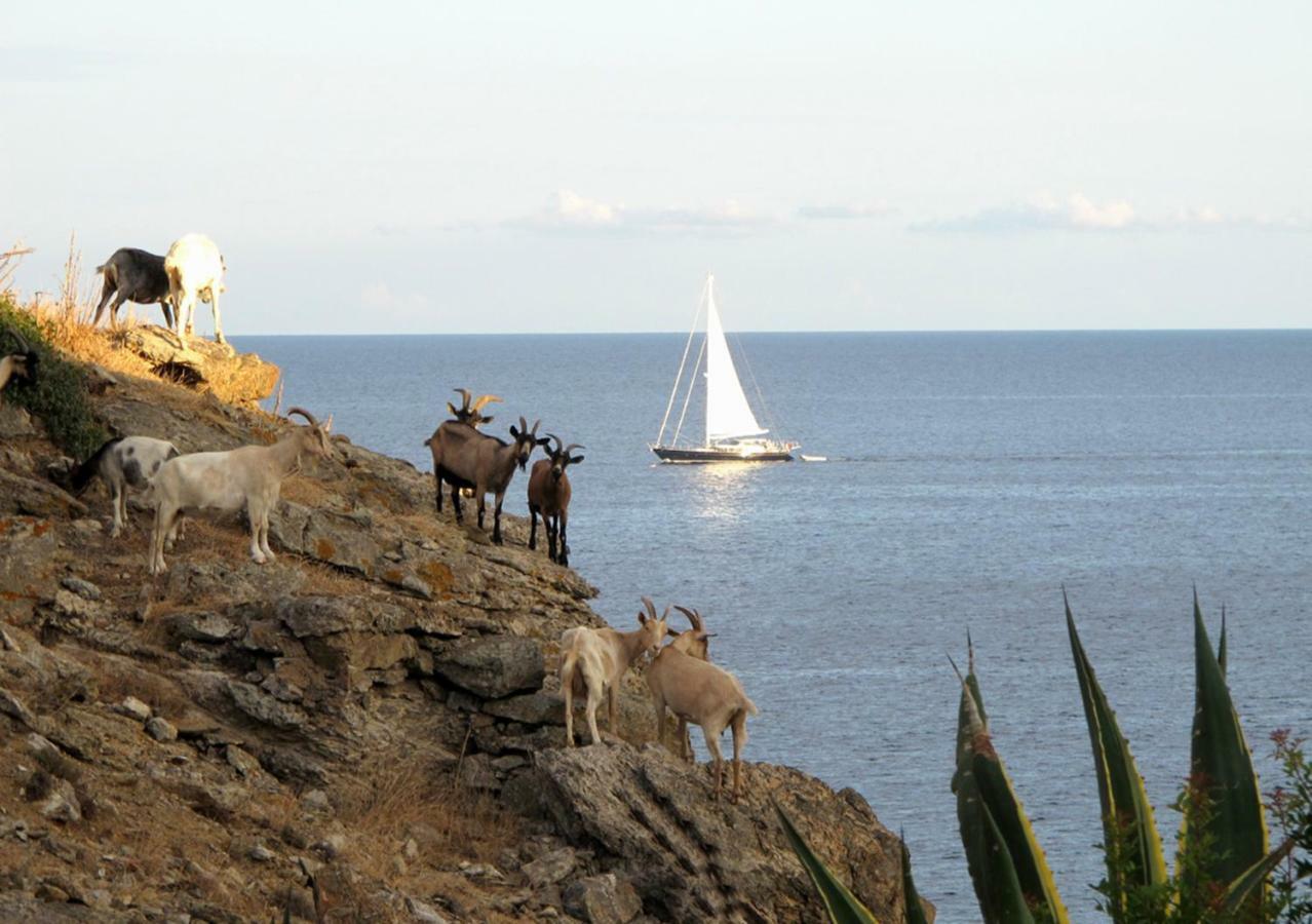 Isola D'Elba Come In Barca, A Un Tuffo Dal Mare Capoliveri  Buitenkant foto